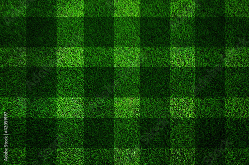 Green grass texture background