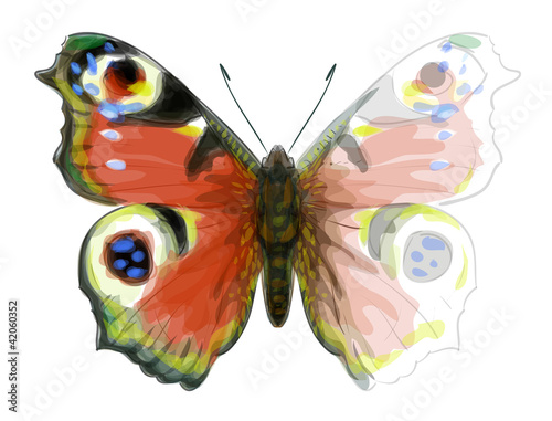 Butterfly Inachis Io. Unfinished Watercolor drawing imitation.
