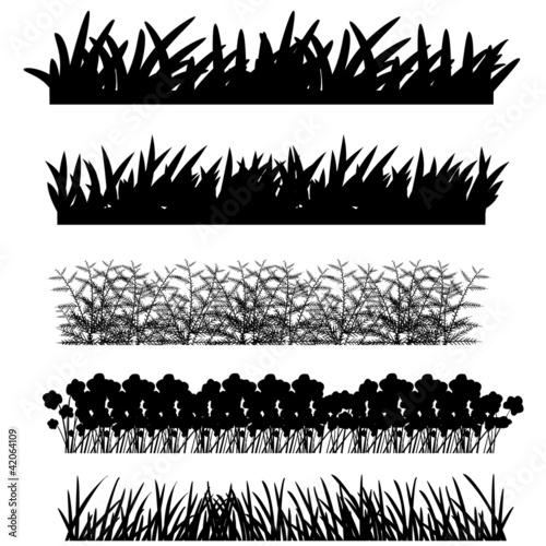 grass, shrubs