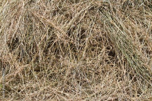 The texture of the hay photo