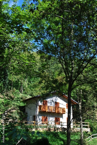 House in the wood © Crisferra