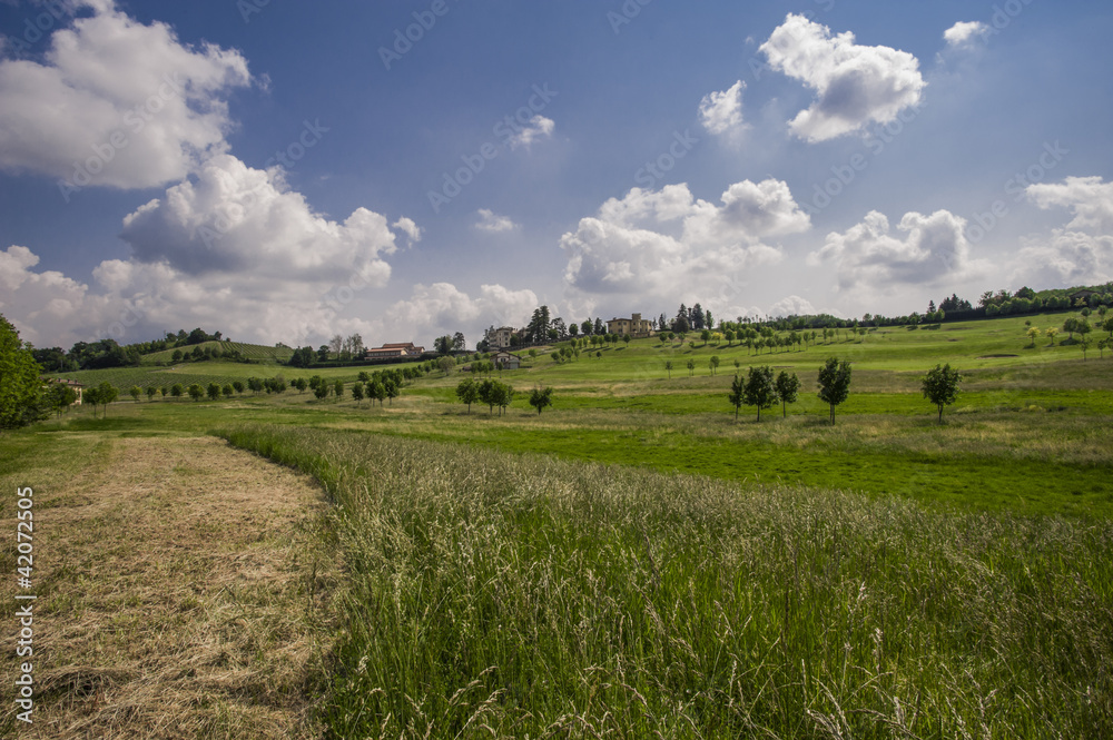 paesaggio3 paesaggio3