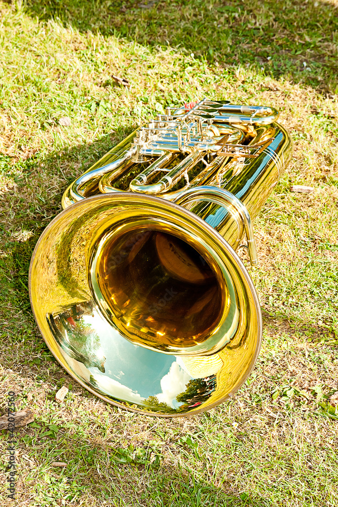 Obraz premium Musikinstrument