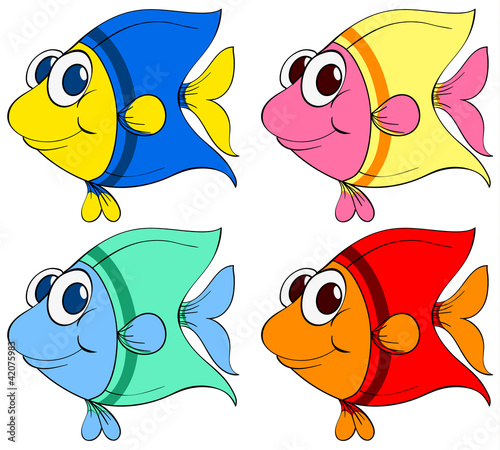 fish