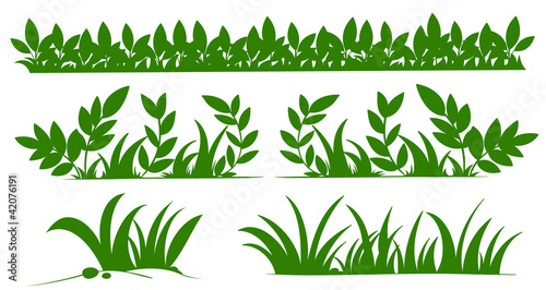 grass