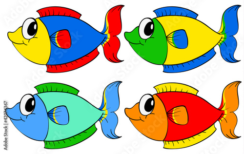 fish