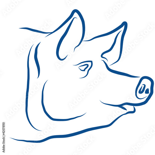le porc, le cochon