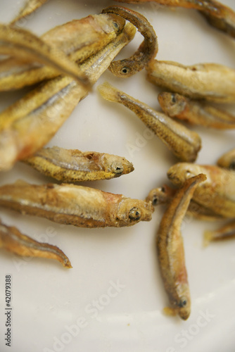 sardela photo
