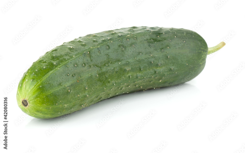 Fresh cucumber vegetable Fresh cucumber vegetable