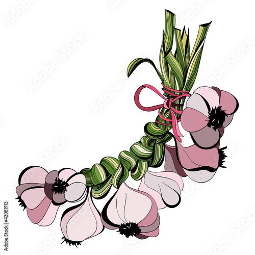 Stylized color sketch of a bundle of garlic groves
