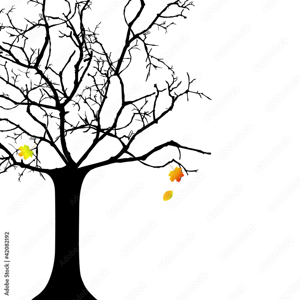 Vector illustration of an autumnal tree