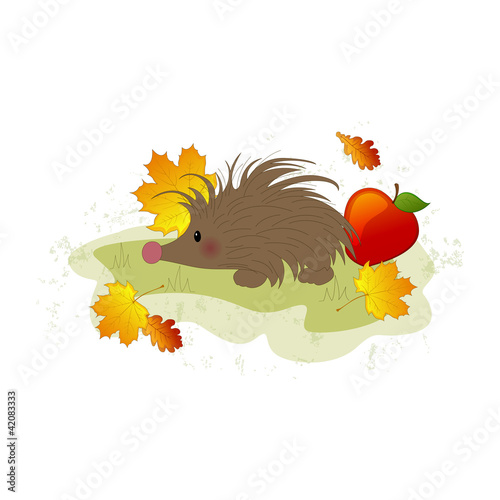 Vector illustration of a hedgehog