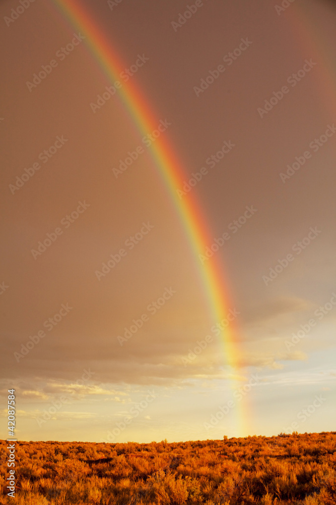 Fototapeta premium Rainbow