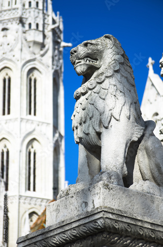 Stone Lion In Budapest