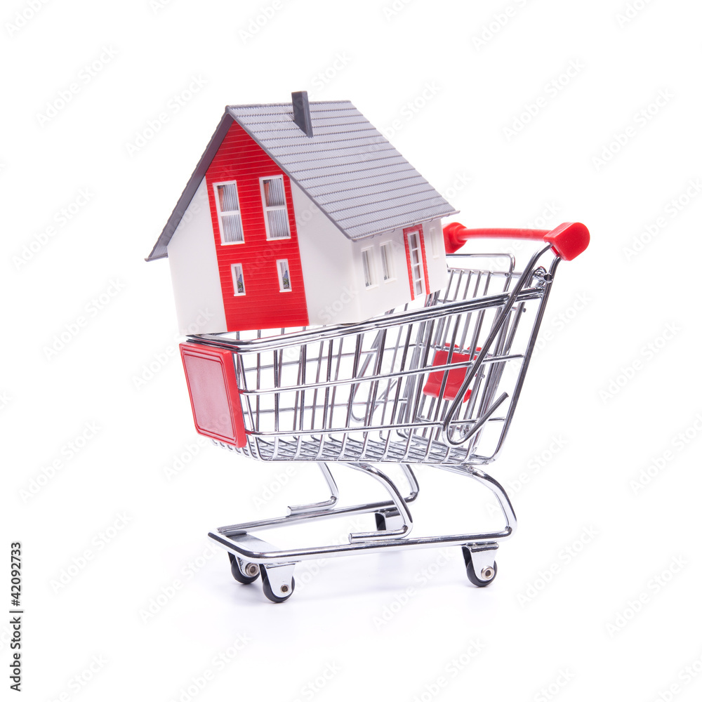 House in shopping cart House in shopping cart