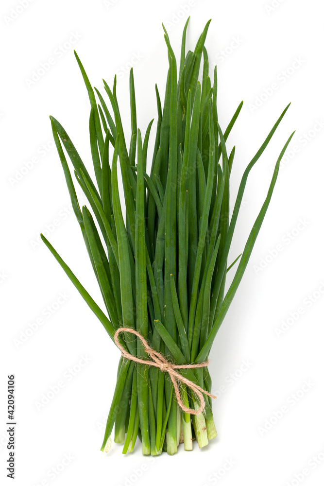 fresh spring onion