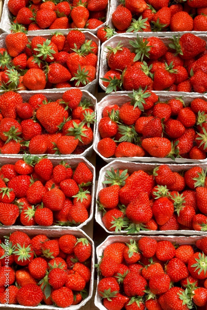 Erdbeeren Erdbeeren