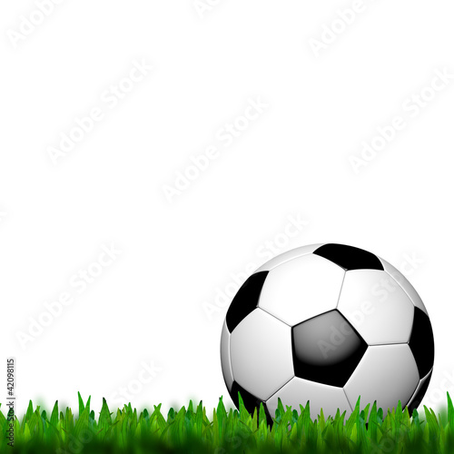 Football   soccer ball   in green grass