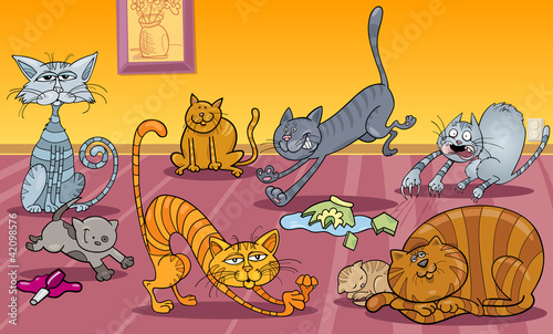 many cats at home