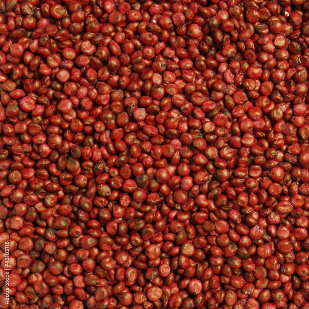 Seed treater, macro soybean seeds texture Seed treater, macro soybean seeds texture