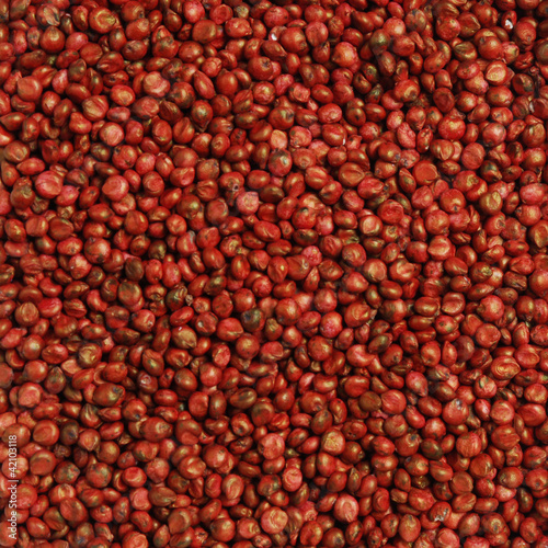 Seed treater, macro soybean seeds texture