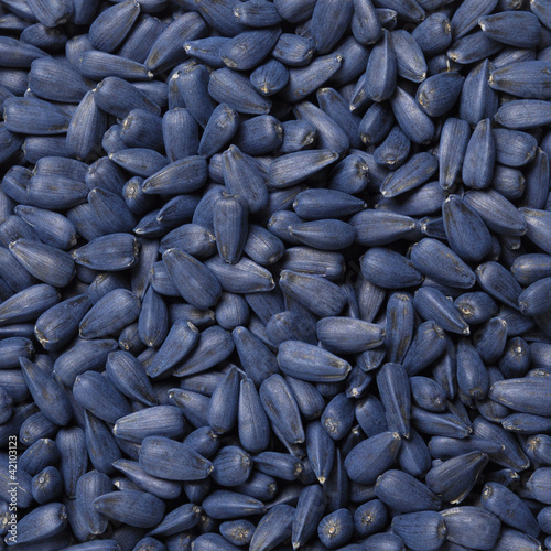 Seed treater, macro sunflower seeds texture