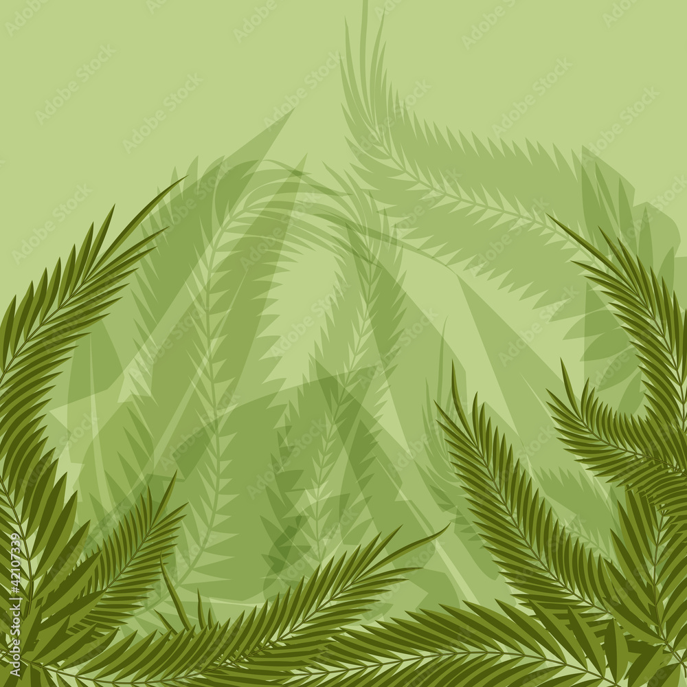 Obraz Jungle Forest Background
