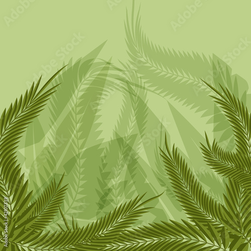 Jungle Forest Background