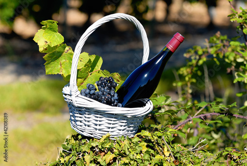 bottle of red wine in countryside photo