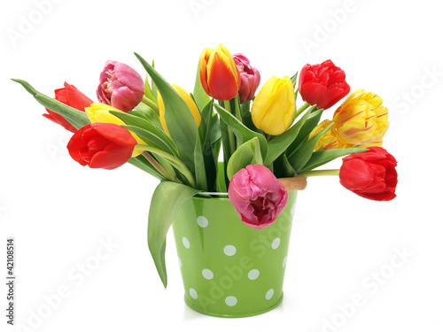 Wallpaper Mural Tulips in the bucket Torontodigital.ca