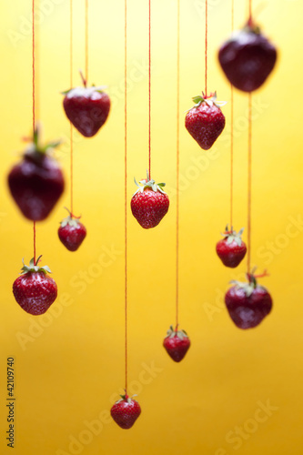 Strawberries © Artem Mykhailichenko
