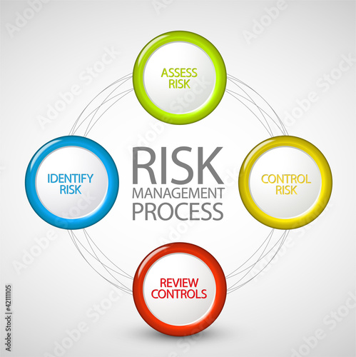 Vector Risk management process diagram