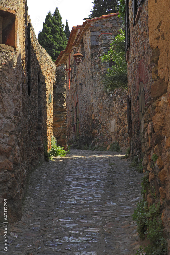 Naklejka premium Ruelle étroite, Castelnou