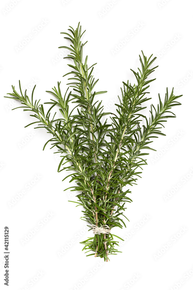 Naklejka premium Bunch of Rosemary over White