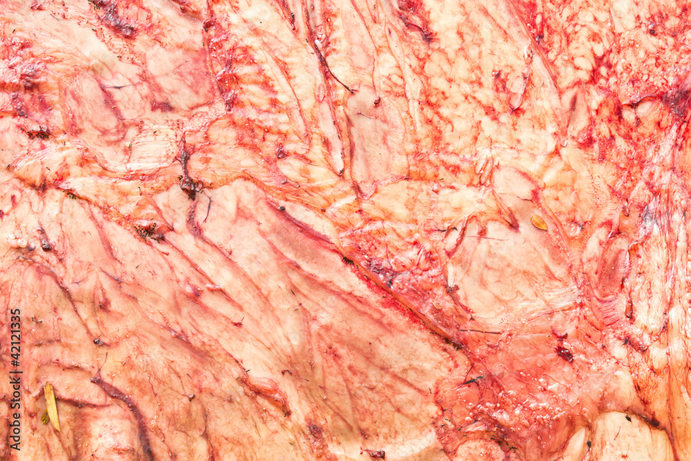 Meat Meat