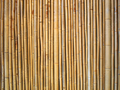 Fototapeta Naklejka Na Ścianę i Meble -  Fond bambou