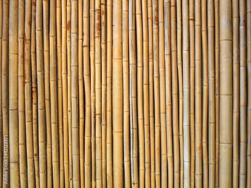 Fototapeta samoprzylepna Bambusowe tło