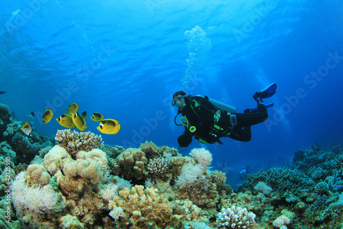 Canvas Print Scuba Diver and Butterflyfish on coral reef