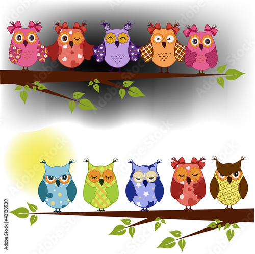 Family of owls sat on a tree branch at night and day