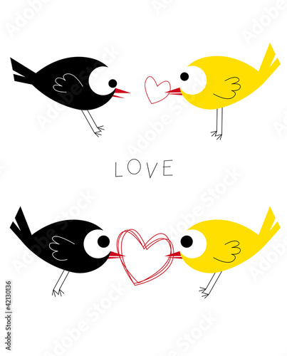 birds-love