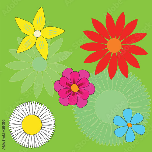 Floral pattern, calligraphic design set