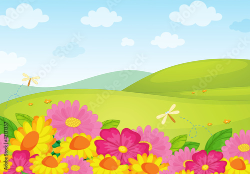 Flower background © GraphicsRF