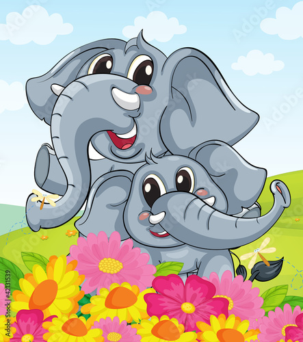 Elephants
