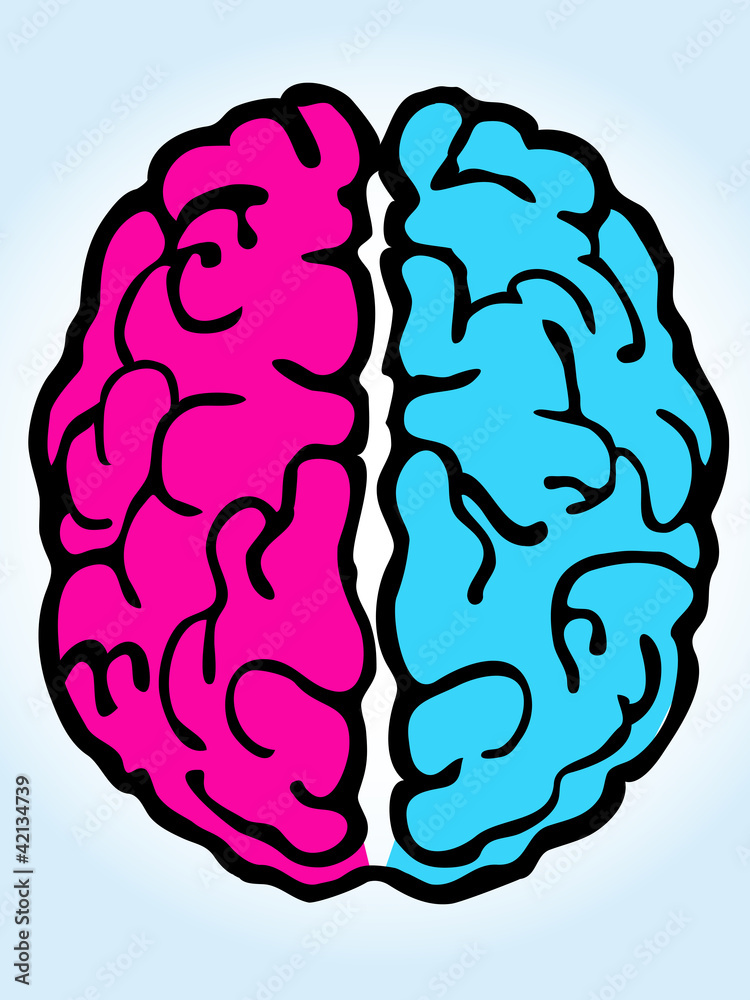 Cerveau