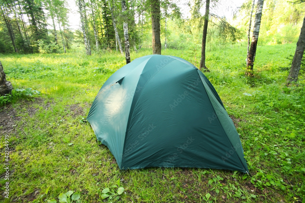 Tourist tent on glade in wood