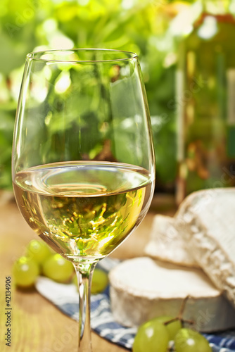 White wine, Brie, Camembert and grape on the table, outdoor