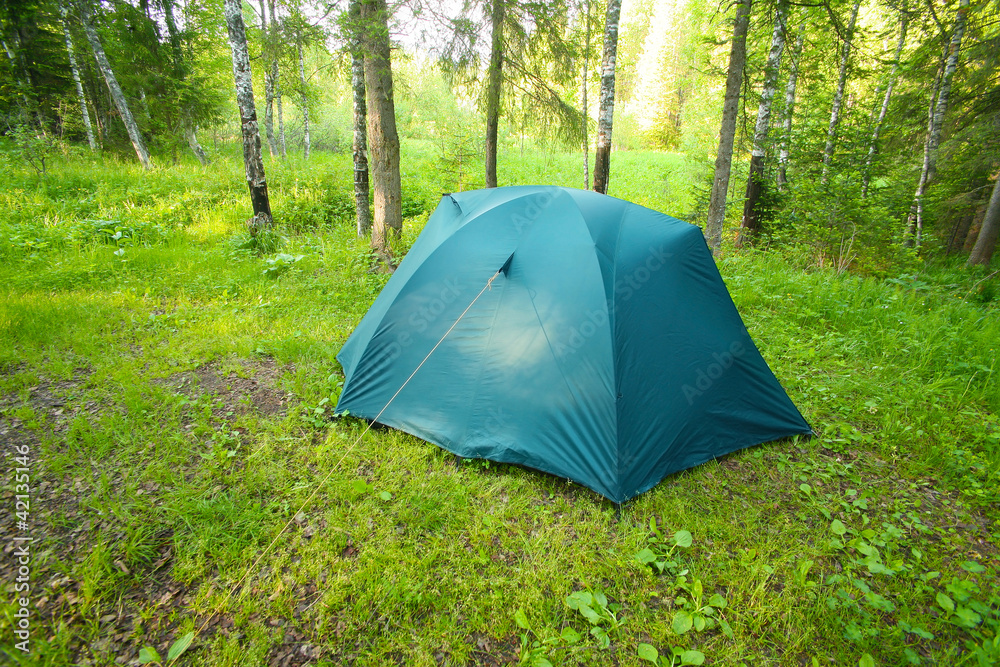 Tourist tent on glade in wood