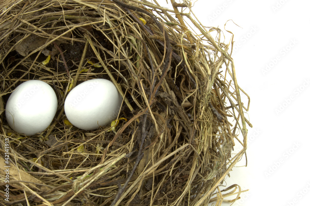 Bird nest and eggs on white background Bird nest and eggs on white background