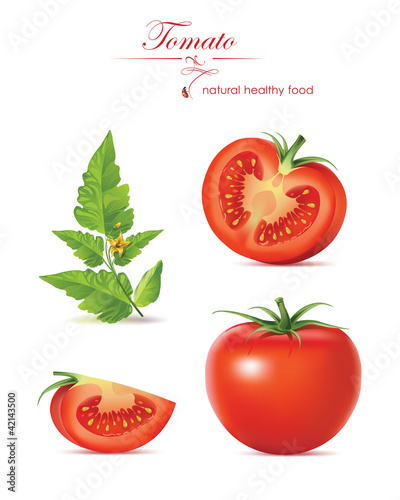 Vector illustration. Tomatoes.