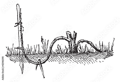 Ground Layering, vintage engraving